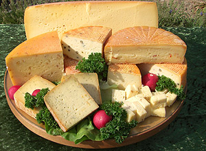 Käse